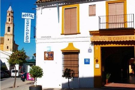 Hostal El Caballo Blanco Осуна Екстер'єр фото