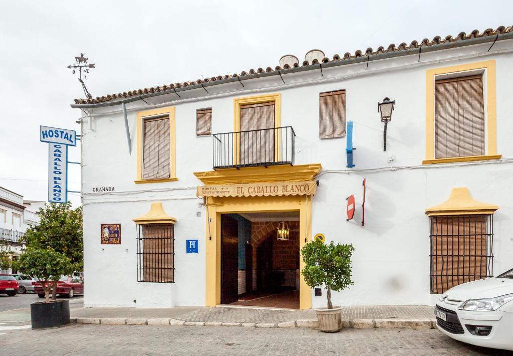 Hostal El Caballo Blanco Осуна Екстер'єр фото